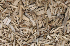 biomass boilers Habertoft